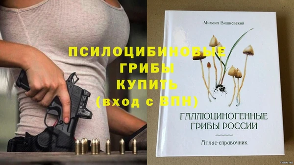MDMA Белокуриха