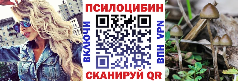 купить наркоту Кулебаки Псилоцибиновые грибы мицелий